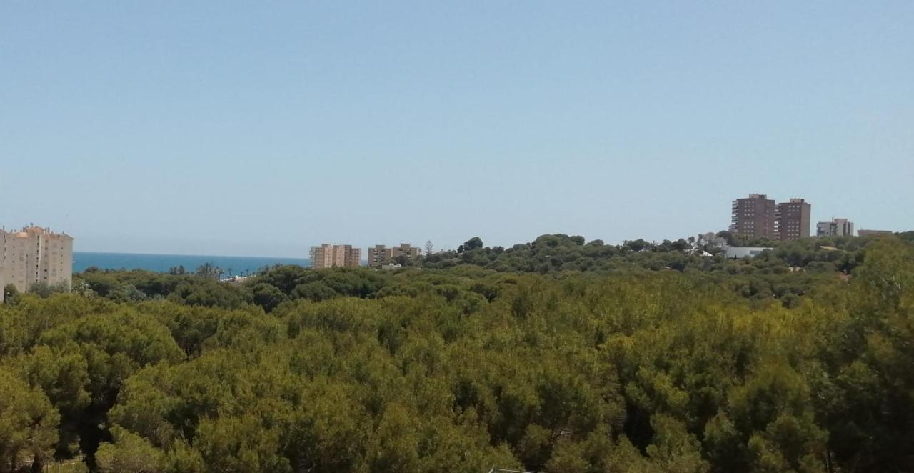 Campoamor Seaview Exterior photo