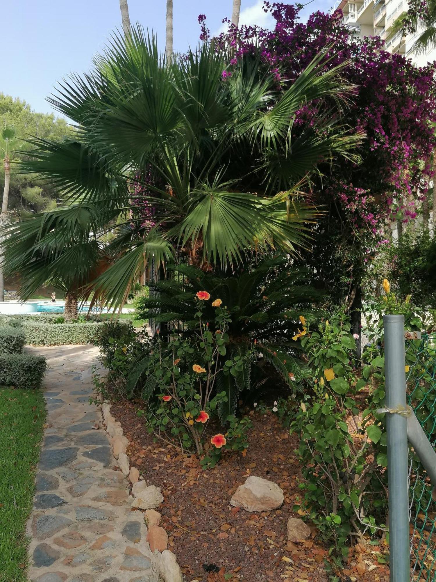 Campoamor Seaview Exterior photo