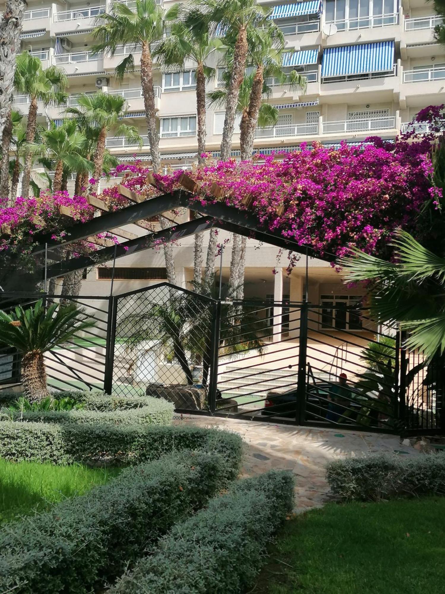 Campoamor Seaview Exterior photo